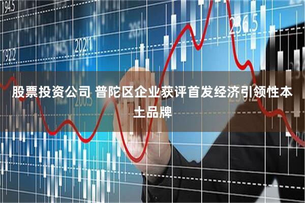 股票投资公司 普陀区企业获评首发经济引领性本土品牌