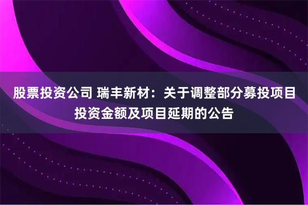 股票投资公司 瑞丰新材：关于调整部分募投项目投资金额及项目延期的公告