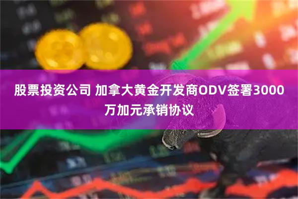 股票投资公司 加拿大黄金开发商ODV签署3000万加元承销协议