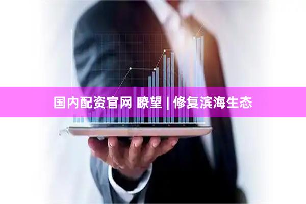 国内配资官网 瞭望 | 修复滨海生态