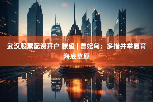 武汉股票配资开户 瞭望 | 曹妃甸：多措并举复育海底草原
