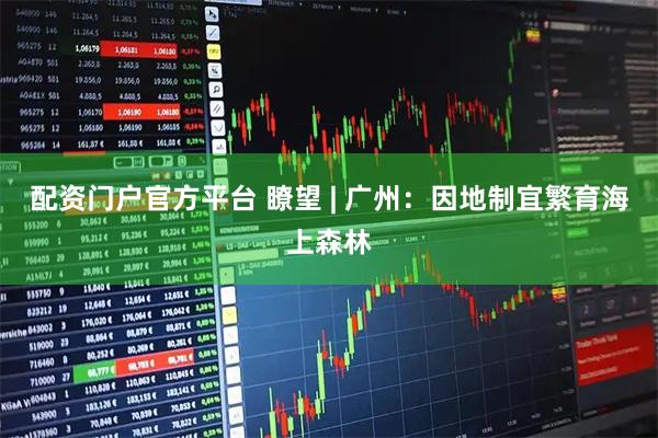 配资门户官方平台 瞭望 | 广州：因地制宜繁育海上森林