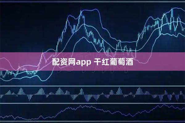 配资网app 干红葡萄酒